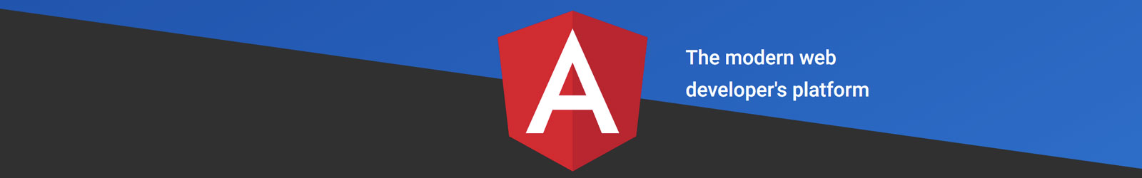 Angular Workshop for Web-Developers